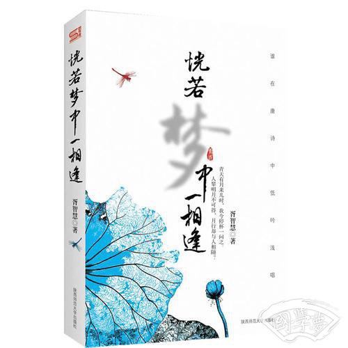 恍若梦中一相逢