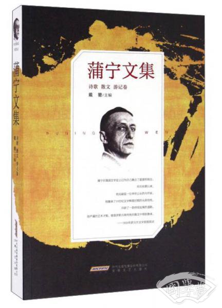 蒲宁文集（诗歌 散文 游记卷）