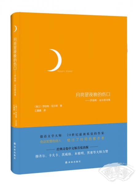月亮是夜晚的伤口