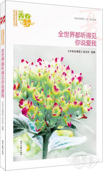 我的青春我的梦：（夏）全世界都听得见你说爱我