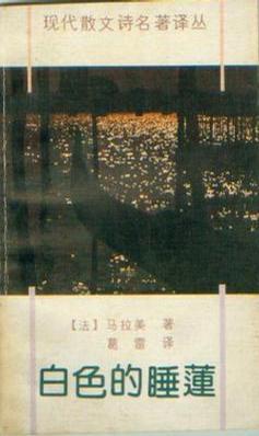 白色的睡莲