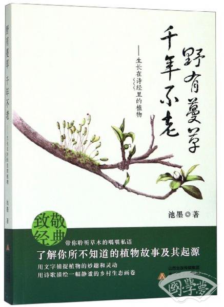 野有蔓草千年不老：生长在诗经里的植物