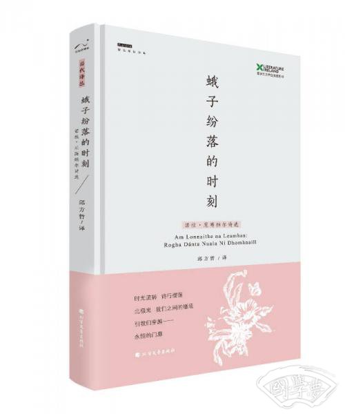蛾子纷落的时刻