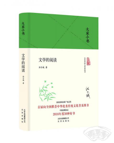 大家小书-文学的阅读（精装）