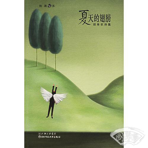 夏天的翅膀