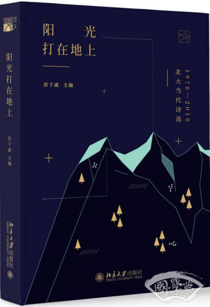 阳光打在地上 北大当代诗选1978—2018