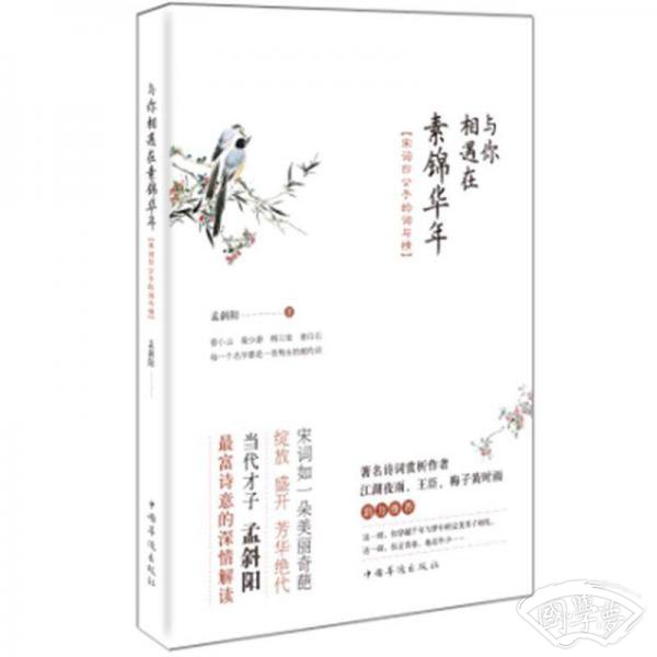 与你相遇在素锦华年