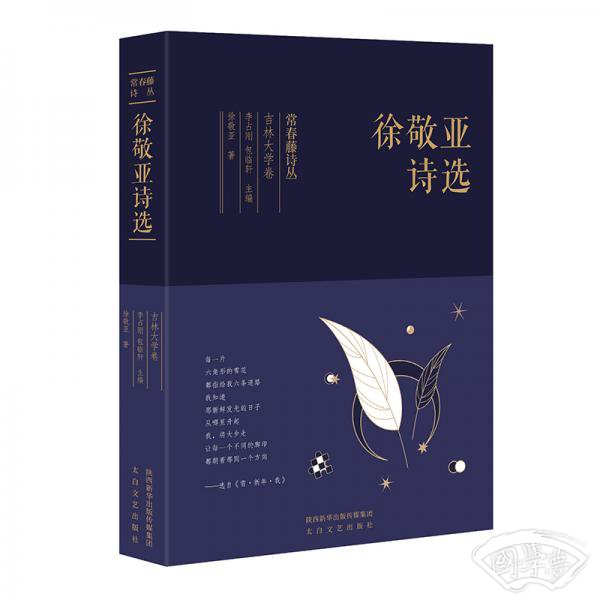 常春藤诗丛：徐敬亚诗选