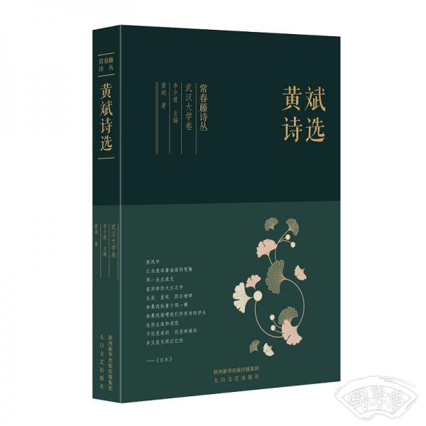 常春藤诗丛：黄斌诗选