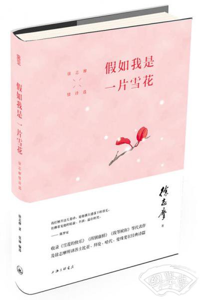 假如我是一片雪花