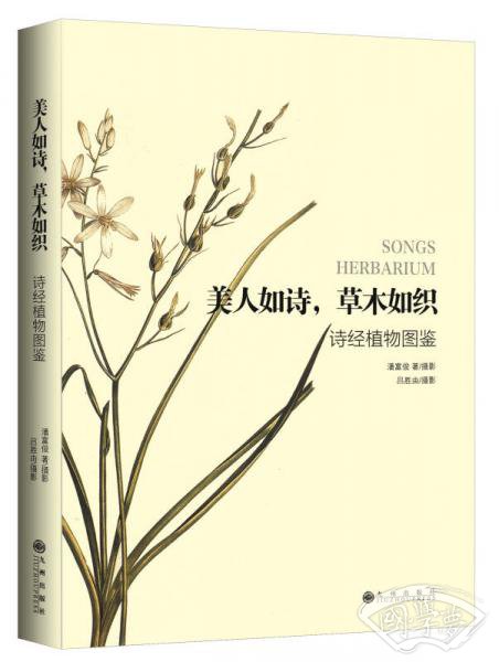 美人如诗，草木如织