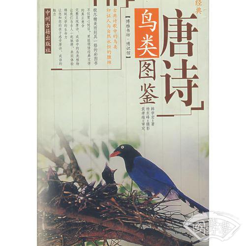 经典唐诗鸟类图鉴