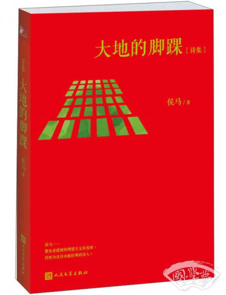 大地的脚踝