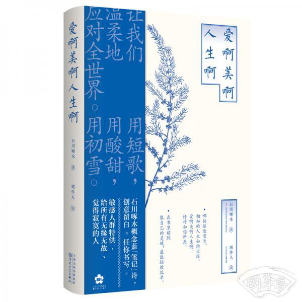 爱啊美啊人生啊