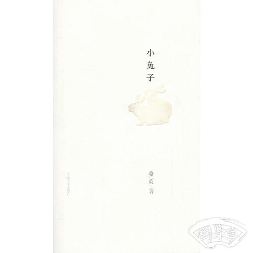 小兔子