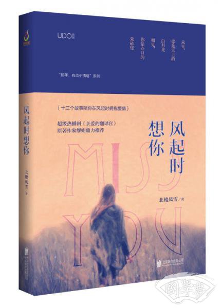 风起时想你