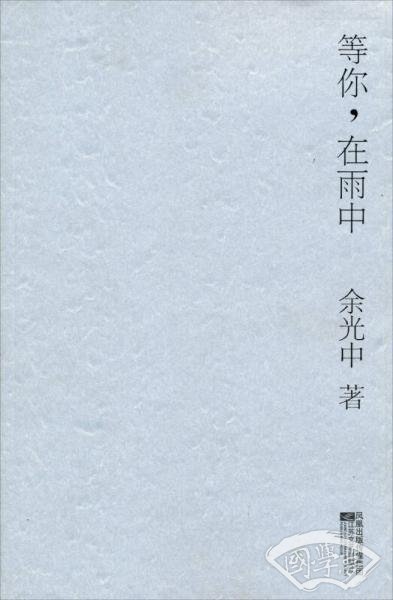 等你，在雨中
