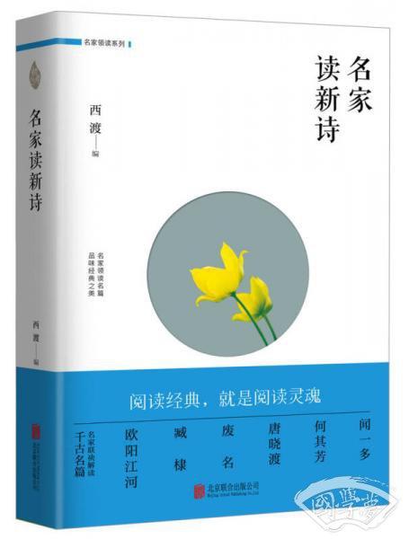 名家读新诗