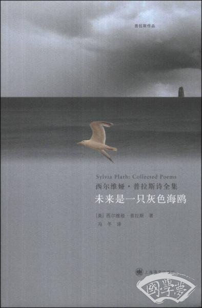 未来是一只灰色海鸥