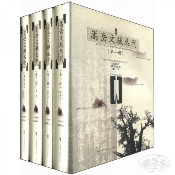 嵩岳文献丛刊（套装共4册）