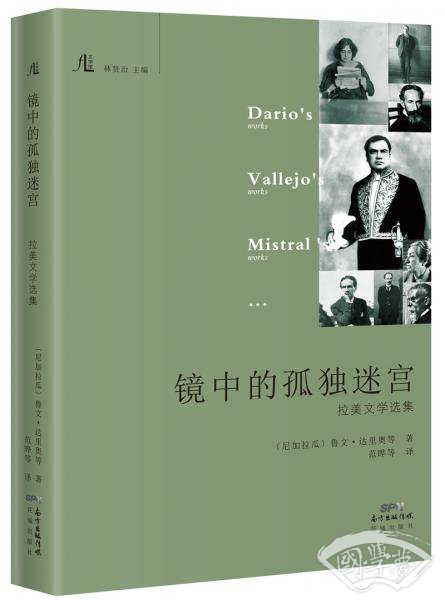镜中的孤独迷宫：拉美文学选集