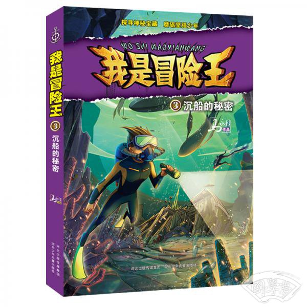 我是冒险王-沉船的秘密