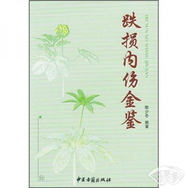 跌损内伤金鉴