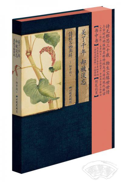美了千年，却被淡忘