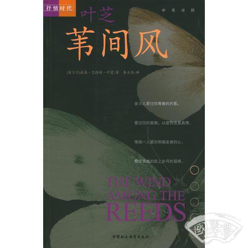 苇间风