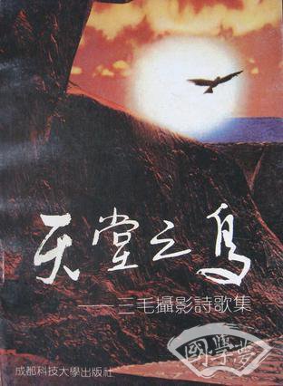 天堂之鸟