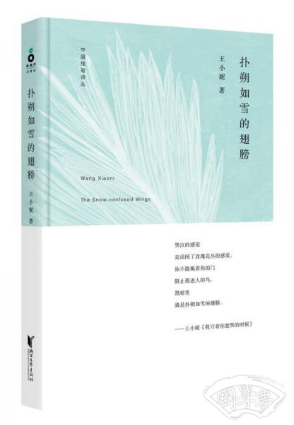 扑朔如雪的翅膀