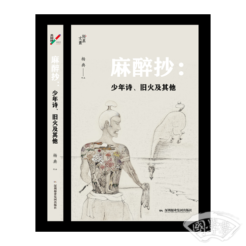麻醉抄：少年诗、旧火及其他