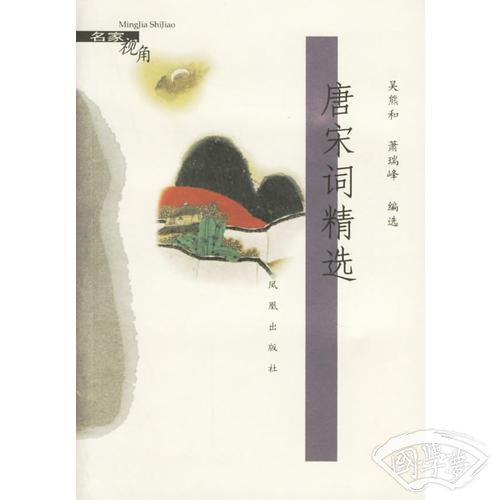 唐宋词精选/名家视角