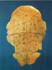 甲骨文是哪个朝代的 甲骨文文字有什么特点