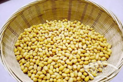 梦见“豆子”象征了什么？与现实的哪些事物有关？