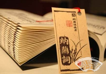 纳兰词中最唯美的句子有哪些？你最喜欢哪一句？