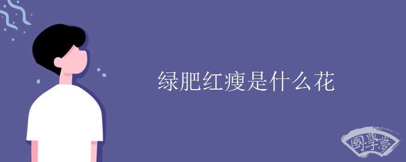 绿肥红瘦是什么花
