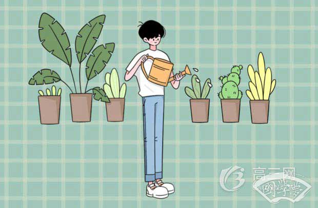 千树万树梨花开全诗