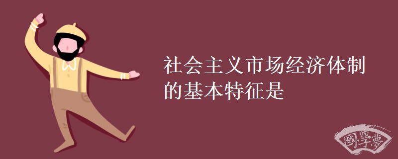 社会主义市场经济体制的基本特征是