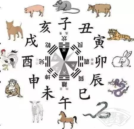 十二生肖12属相周易起名易经取名禁忌和注意事项！