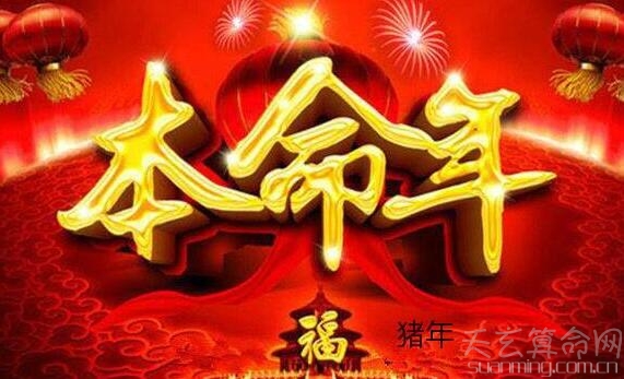 不同年份属猪人2019运势简析 2007年出生的属猪人第一个本命年