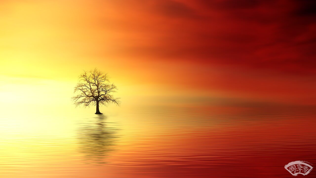 起名-中国风-纯植物照,