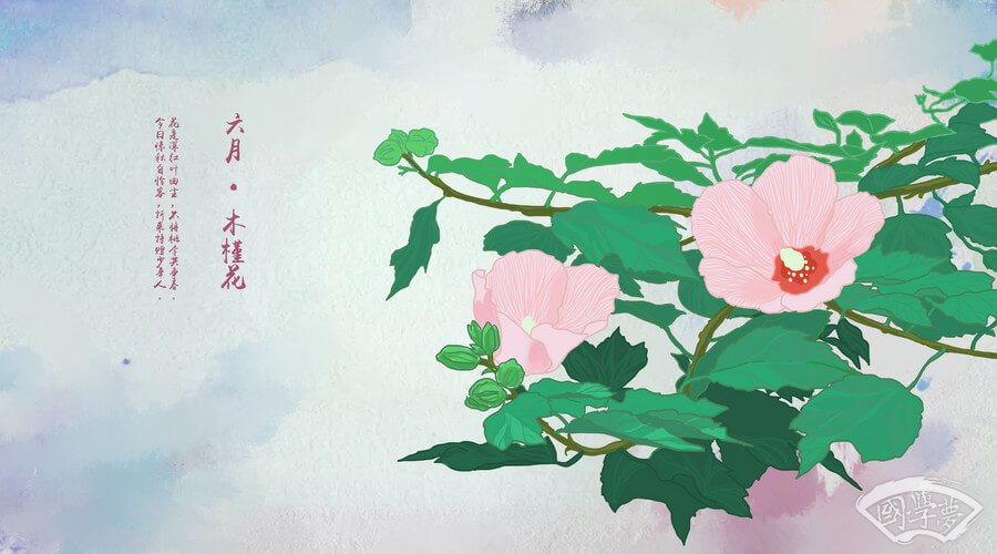 起名-中国风-纯植物照,