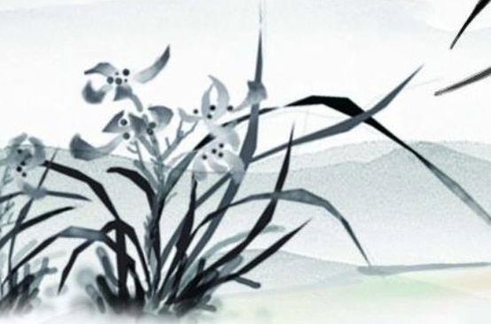 2020年3月11日二月十八生的男孩命运好吗,取什么名字吉祥