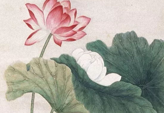 2020年8月2号出生的女孩如何八字起名字，五行属什么
