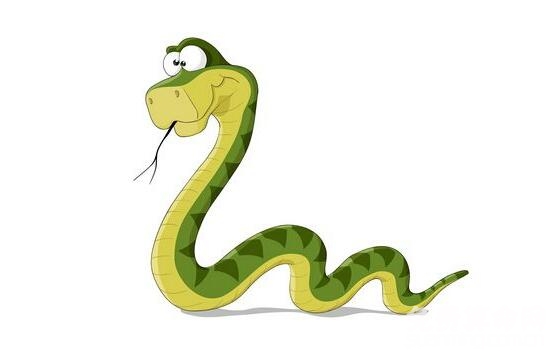 属蛇的性格很要强，做什么事情都会很成功