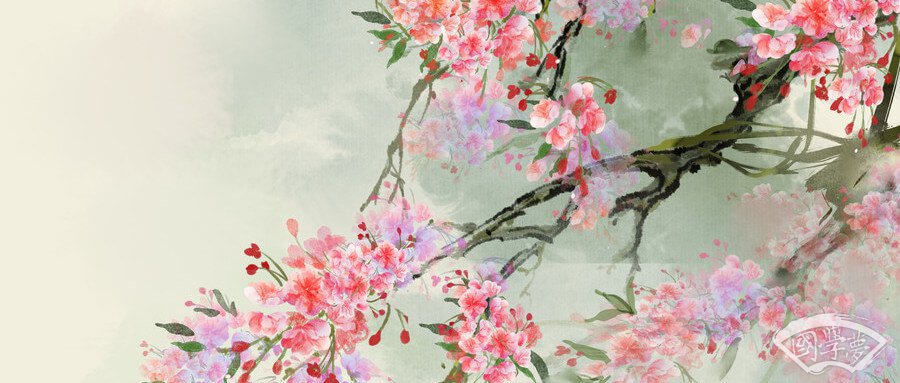 起名-中国风-纯植物照,