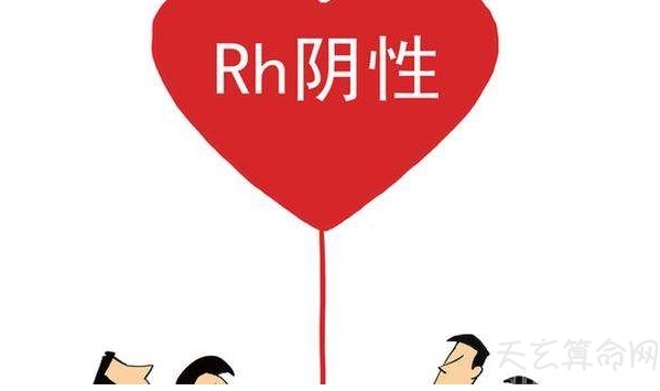 熊猫血型遗传大揭秘   熊猫血型遗传规律表