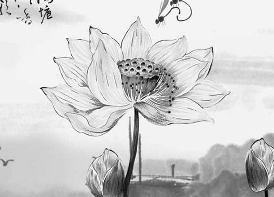 八字合婚:属鼠和属鼠的八字合么 婚姻怎么样