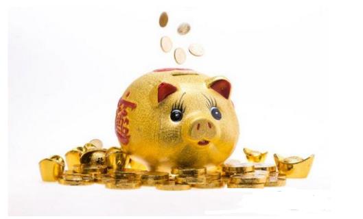 多少年一个金猪年，距下个金猪年还有12年